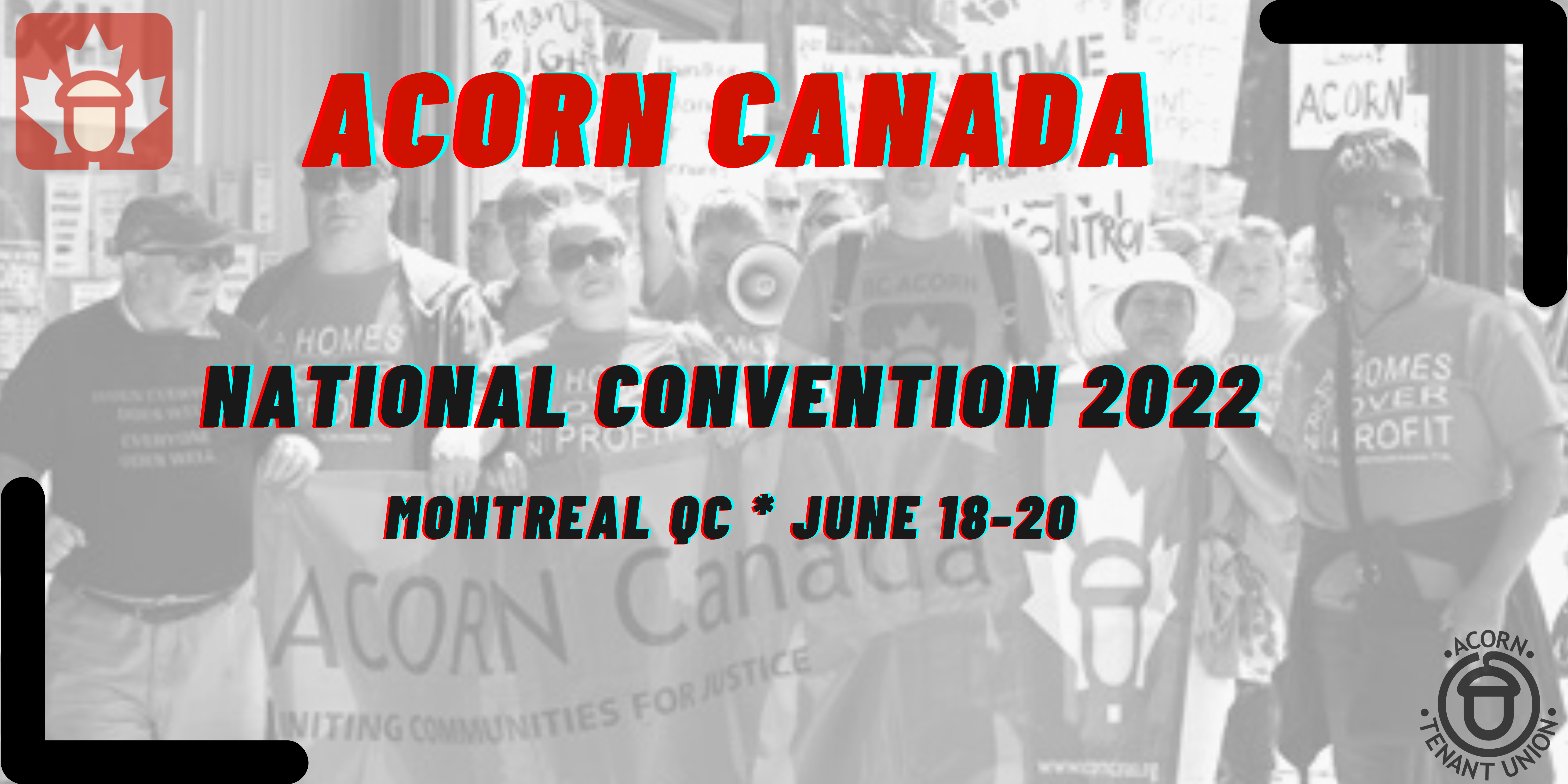 Convention banner_1