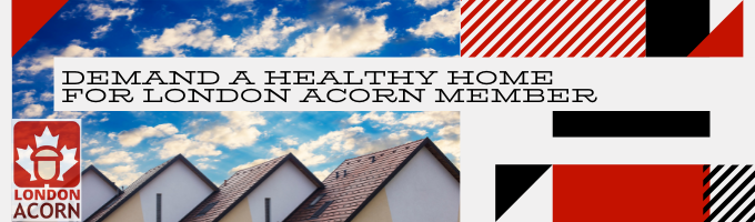 Demand a Healthy Home for London ACORN Member (7)