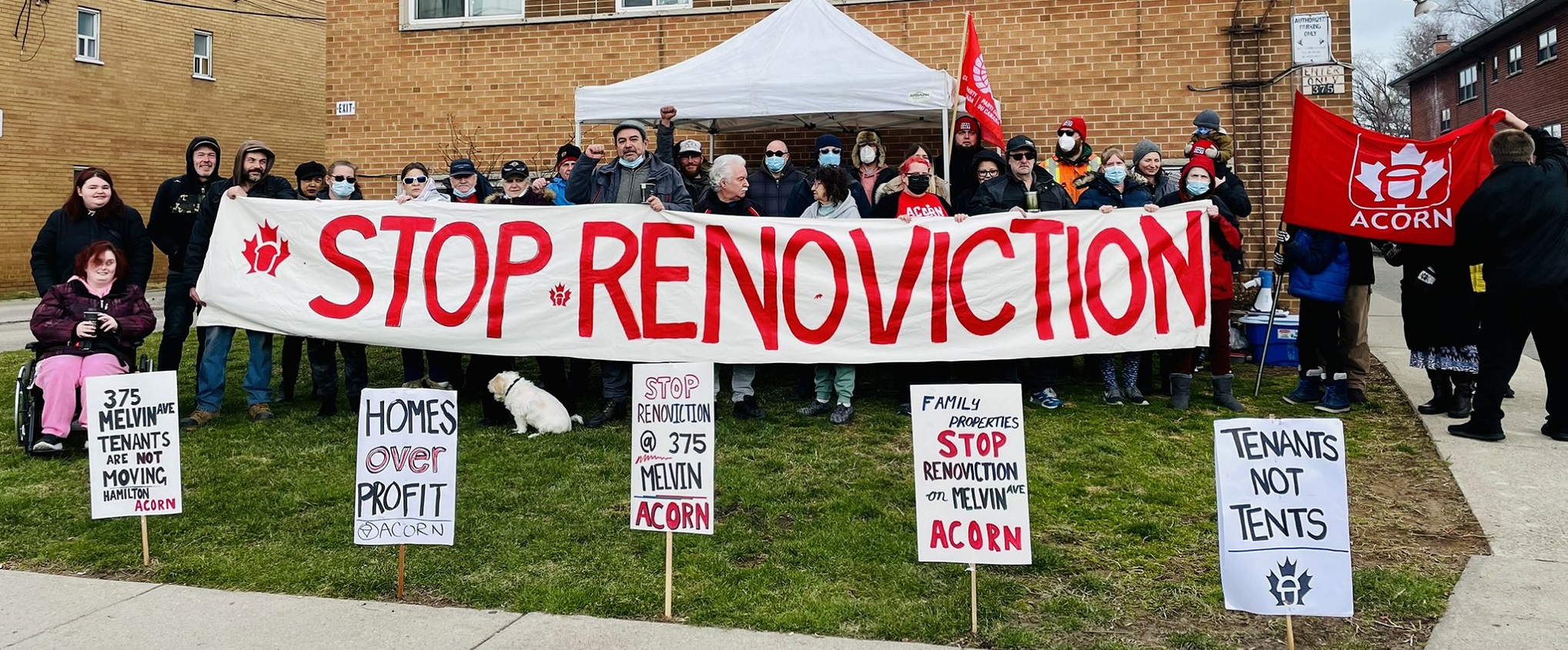 Hamilton ACORN Stop Renoviction