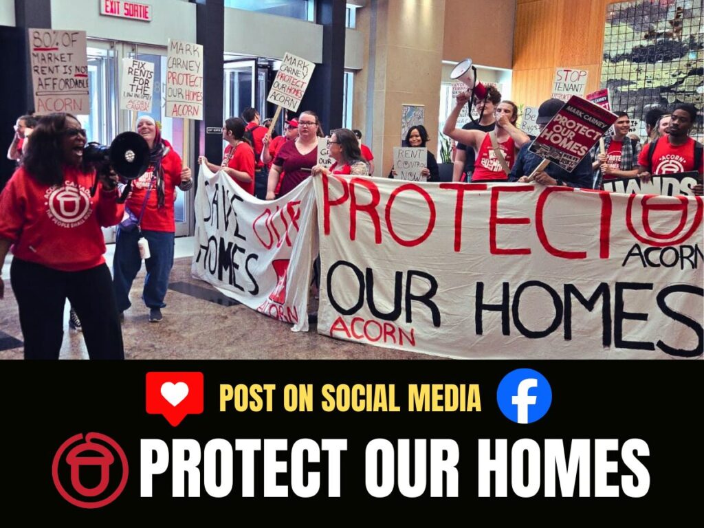 Protest scene with people holding a large banner reading 'PROTECT OUR HOMES' and 'ACORN' logos, some signs high above heads, megaphone in use.