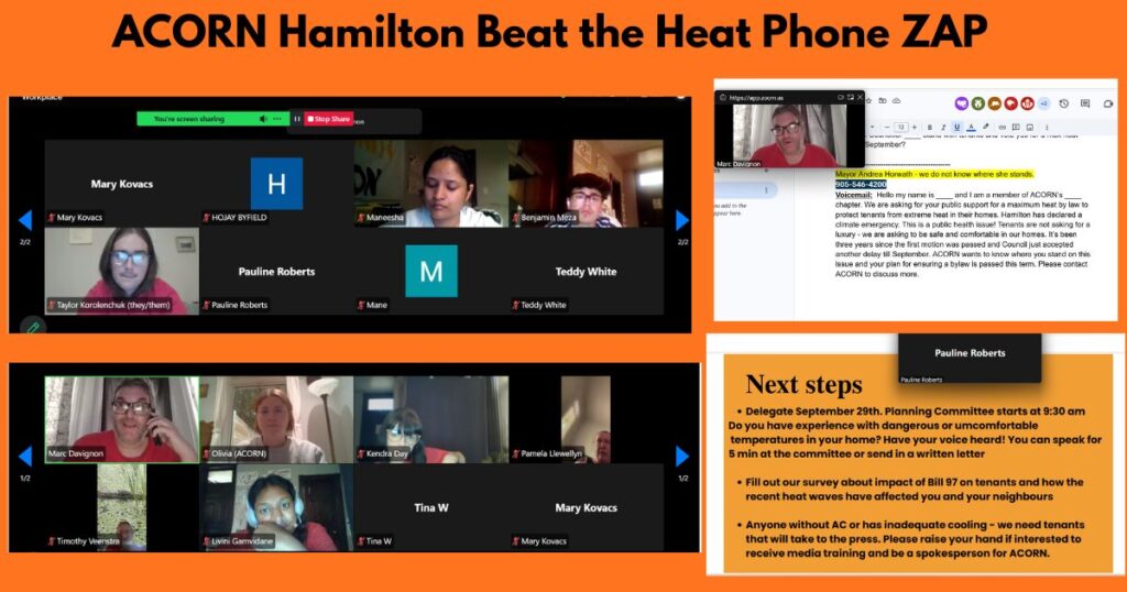Collage showing a virtual meeting with multiple participants in video tiles, plus a screenshot of a chat/email window and an orange 'Next steps' panel for ACORN Hamilton Beat the Heat.