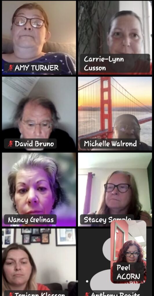 Six-person video conference grid with name badges: Amy Turner, Carrie-Lynn Cusson, David Bruno, Michelle Walrond, Nancy Gelinas, Stacey Sample.